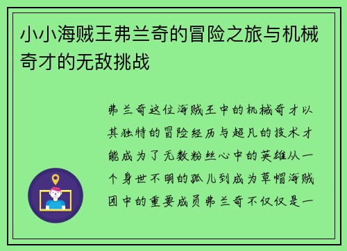 小小海贼王弗兰奇的冒险之旅与机械奇才的无敌挑战